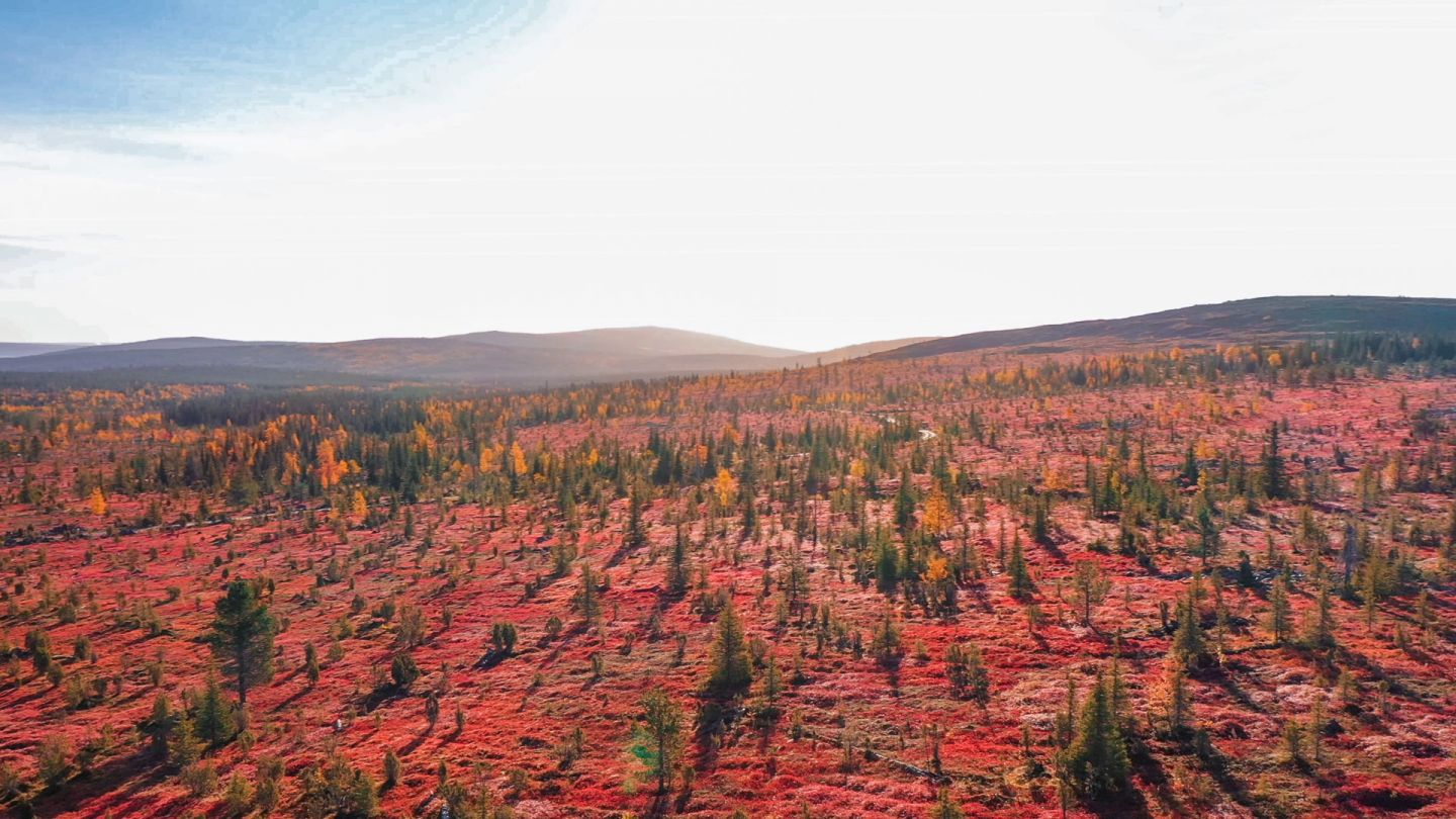 Above Tuntsa Wilderness Area in Salla, Finland in autumn