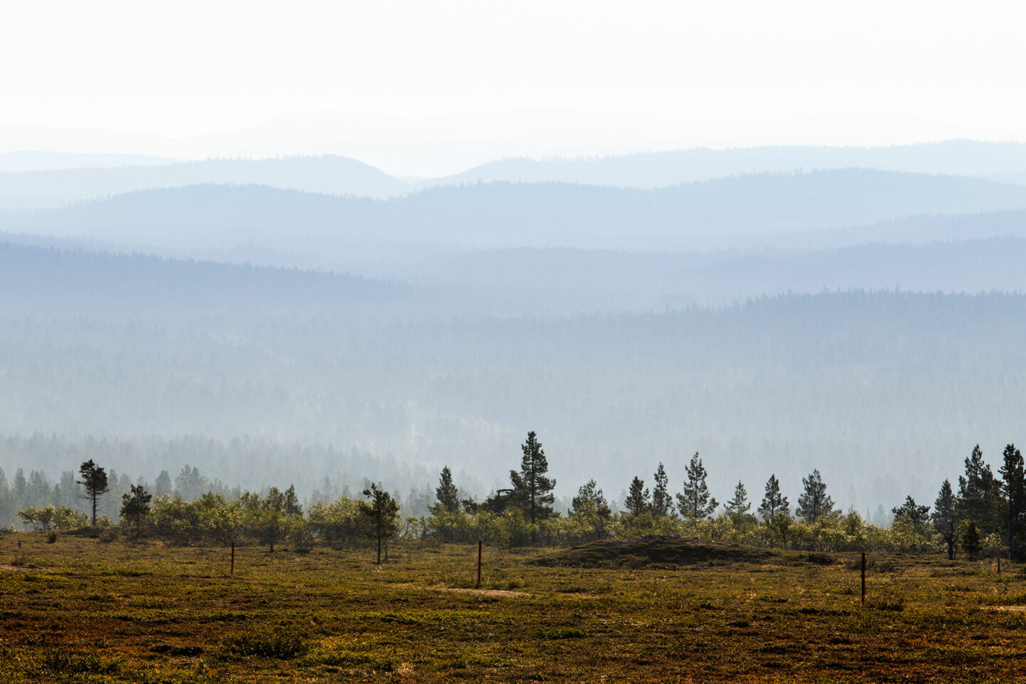 A misty autumn day in the wilderness in Inari, a Finnish Lapland filming location