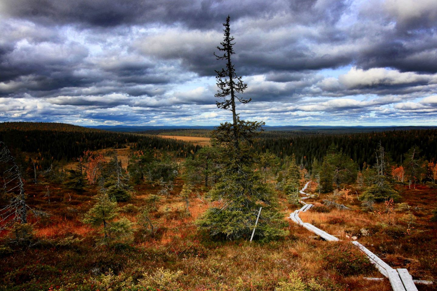 Riisitunturi National Park in Posio, Finland in autumn