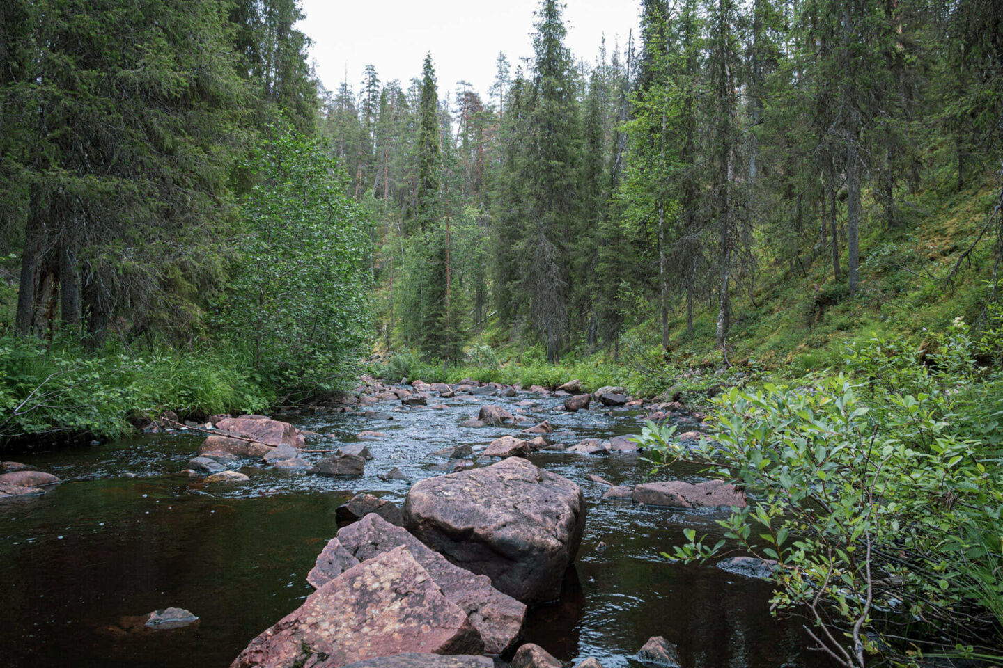 The river, forest and ravine at Salmijoki river in Salla, a Finnish Lapland filming location