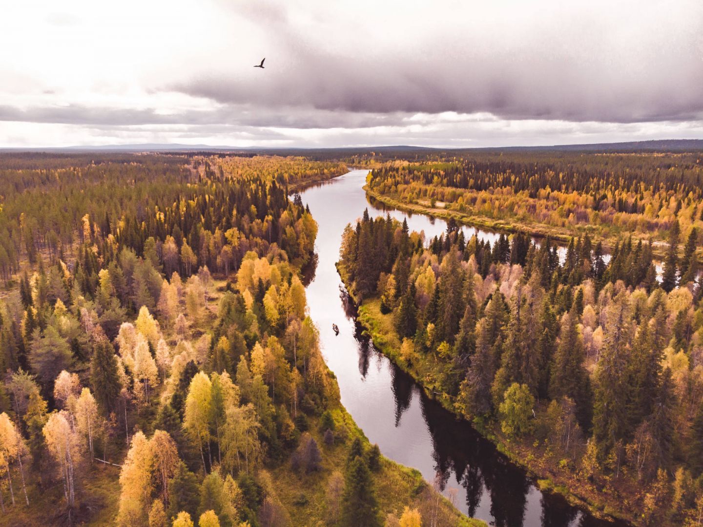 Autumn landscape in Savukoski, FInland