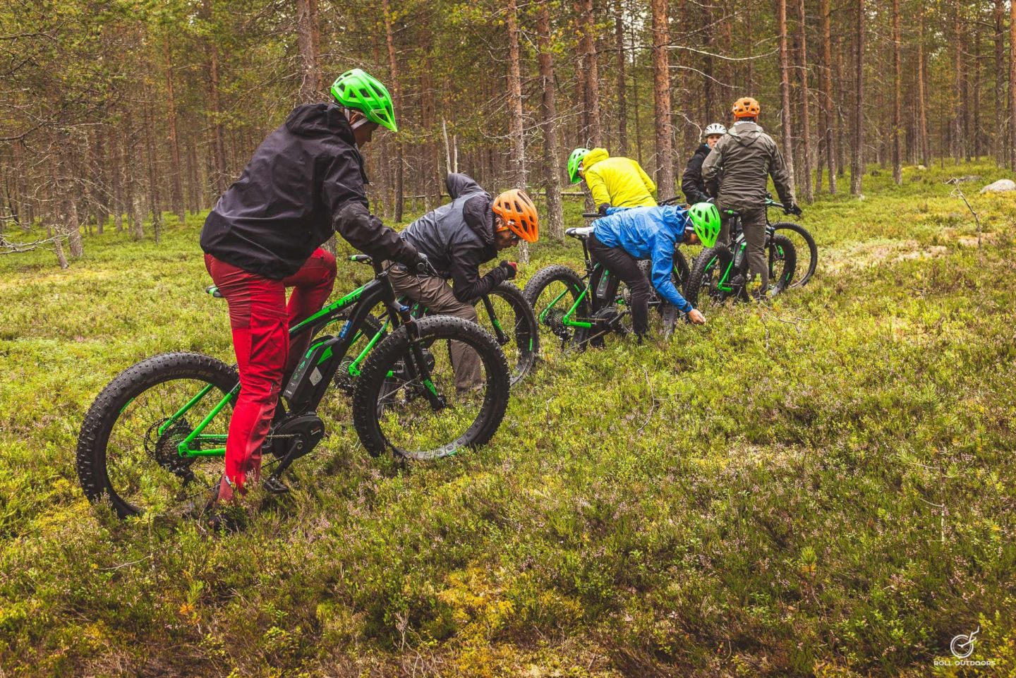 Picking berries & biking in Rovaniemi, Finland in autumn