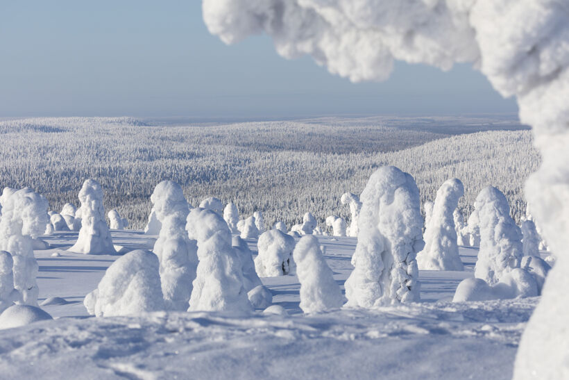 Snow-crowned forest in Riisitunturi National Park in Posio, a Finnish Lapland filming location