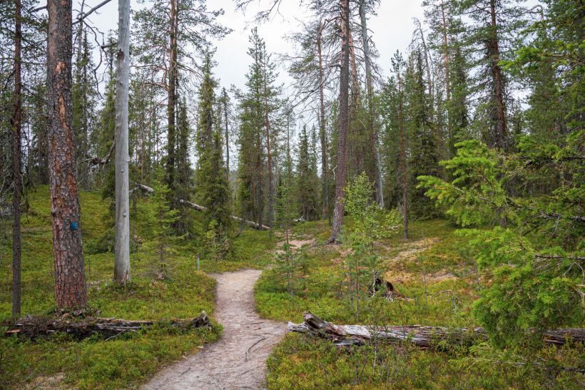 Salmijoki Ravine in Salla, Lapland, Finland