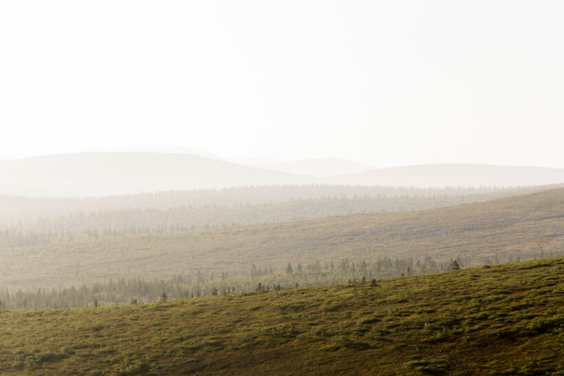 A misty autumn day on the fells in Inari, a Finnish Lapland filming location