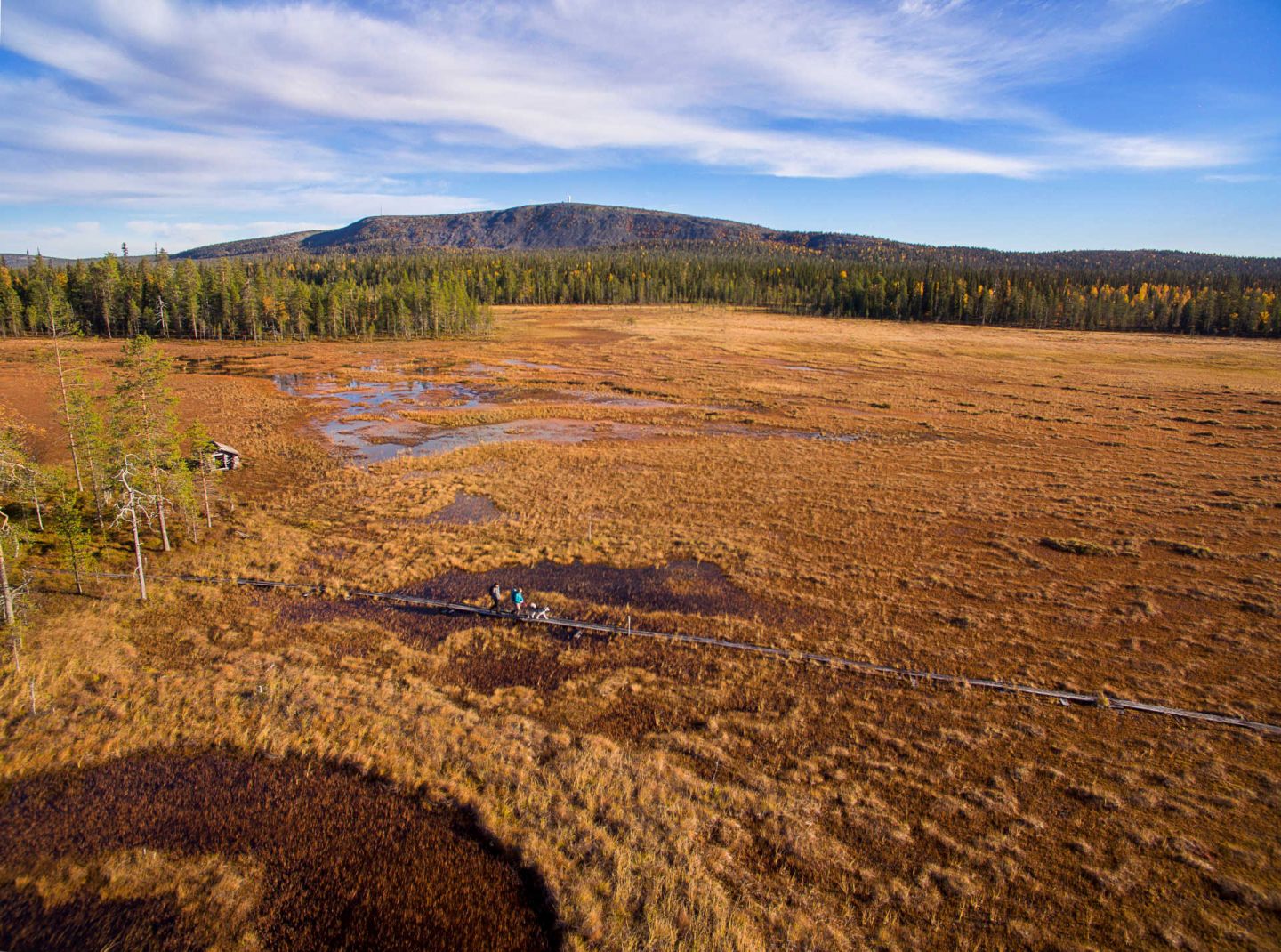 Pyhä-Luosto, Finland in autumn