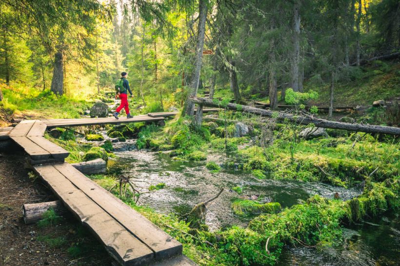 Varkaankuru nature trail in Ylläs