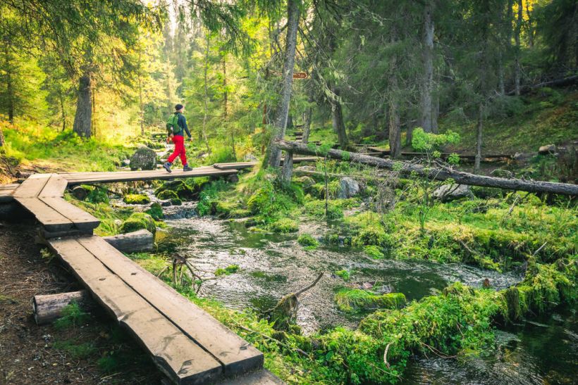 Varkaankurun luontopolku Ylläksellä