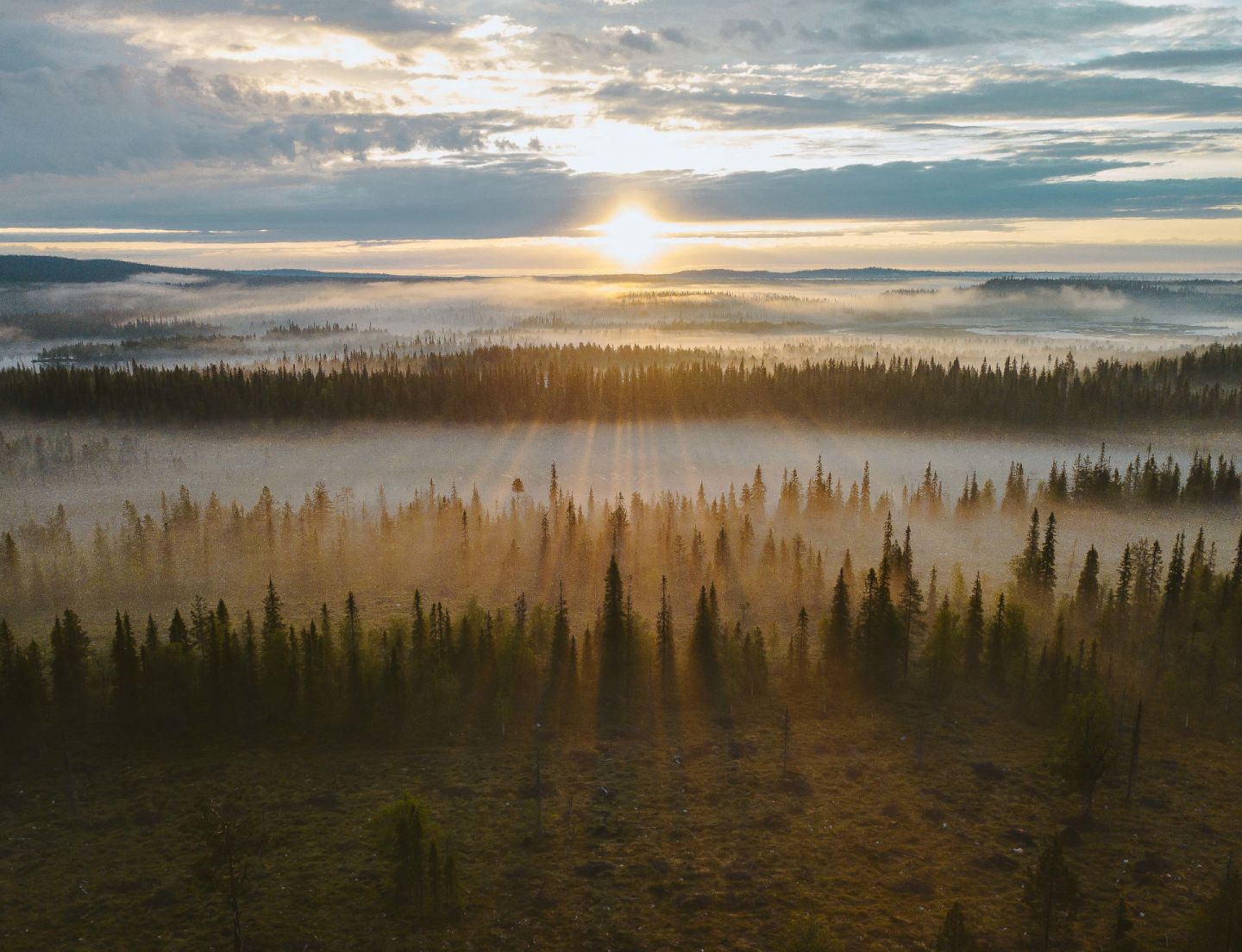 Midnight sun over Ruka-Kuusamo, Finland in summer