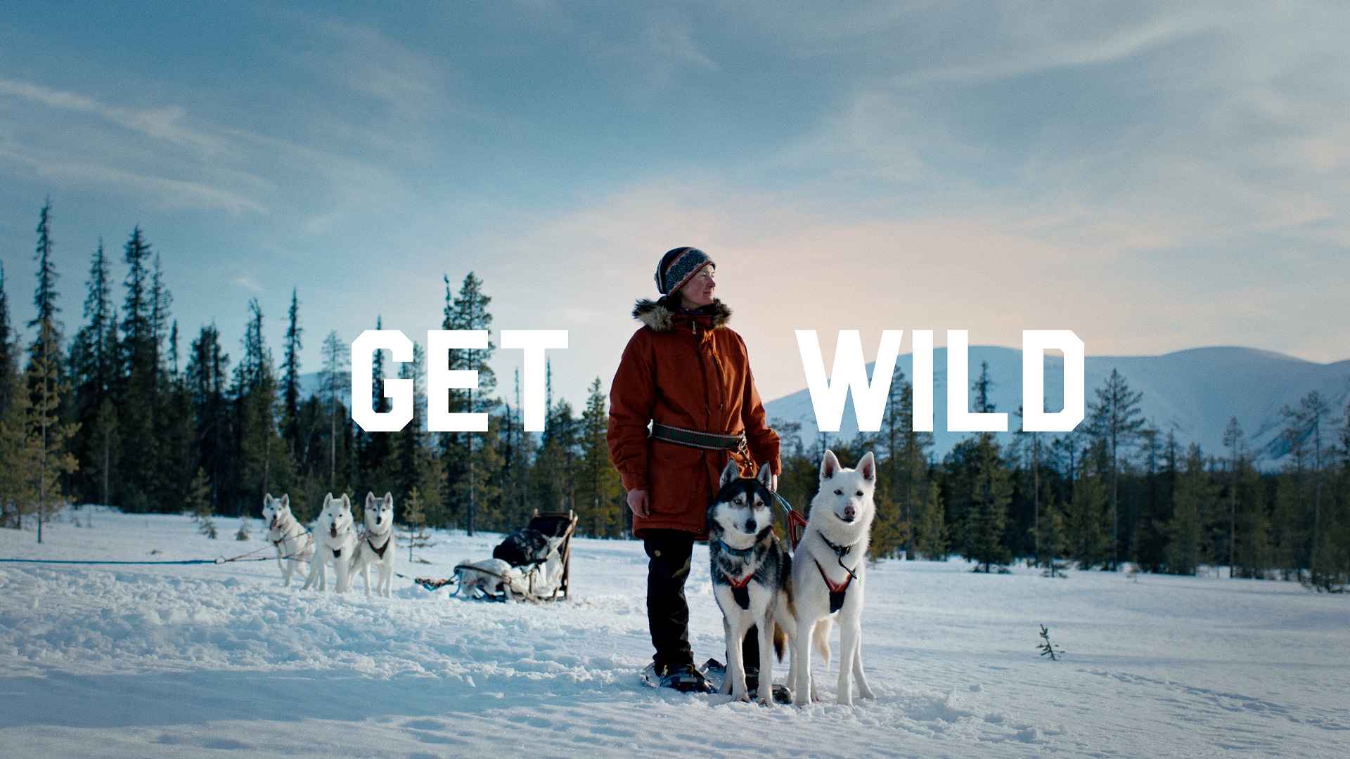 A woman is standing and looking at the winter scenery with her husky dogs in Lapland. Background has a text "Get Wild" in big lettering.