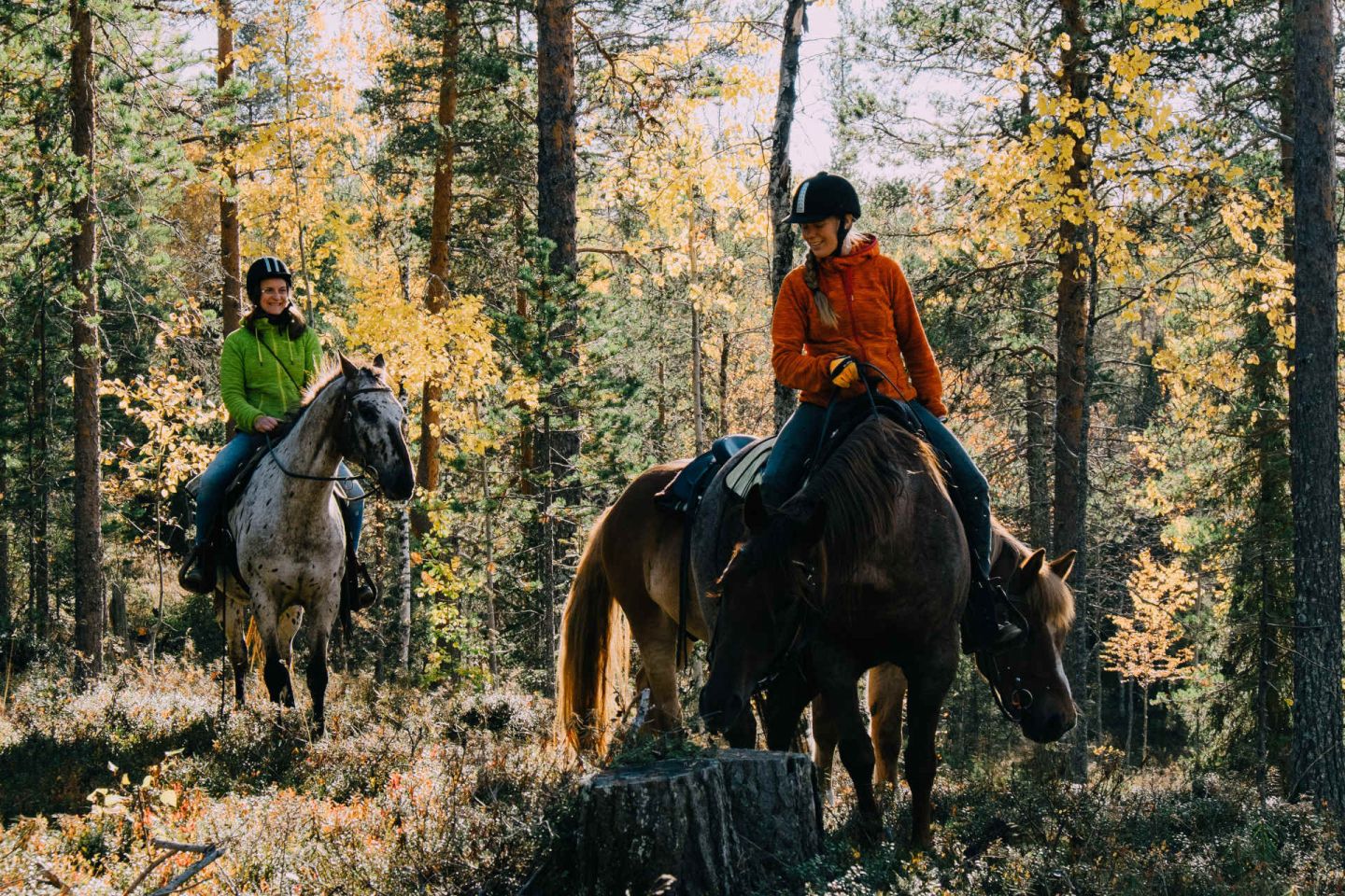 Riding horses through the forests of Pyhä-Luosto, Finland in summer