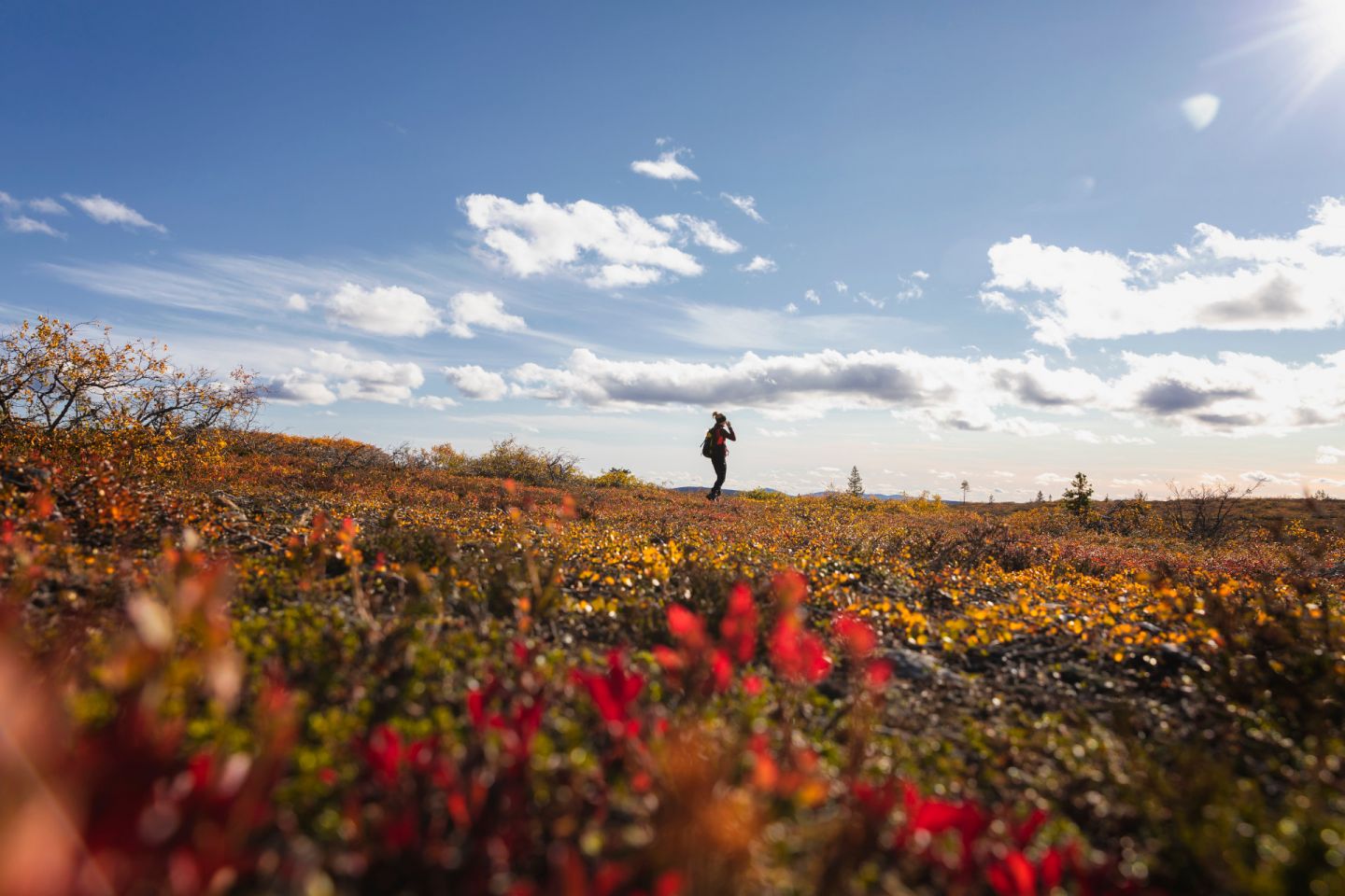 A slow travel autumn in Inari, Finland