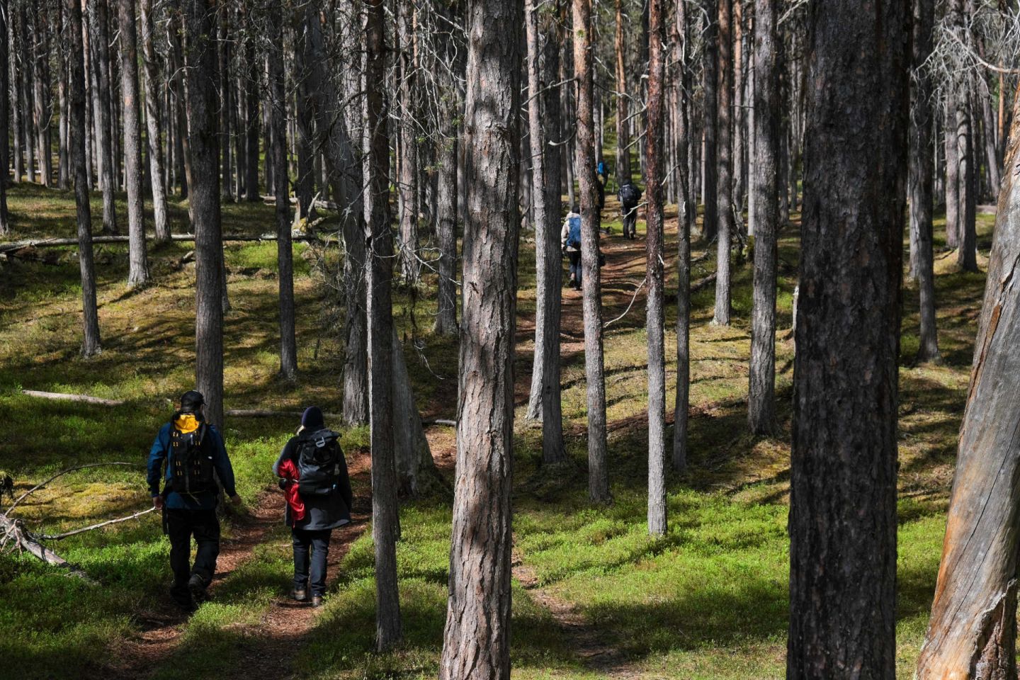 Hiking a national park during a slow travel trip to Finnish Lapland in the summer