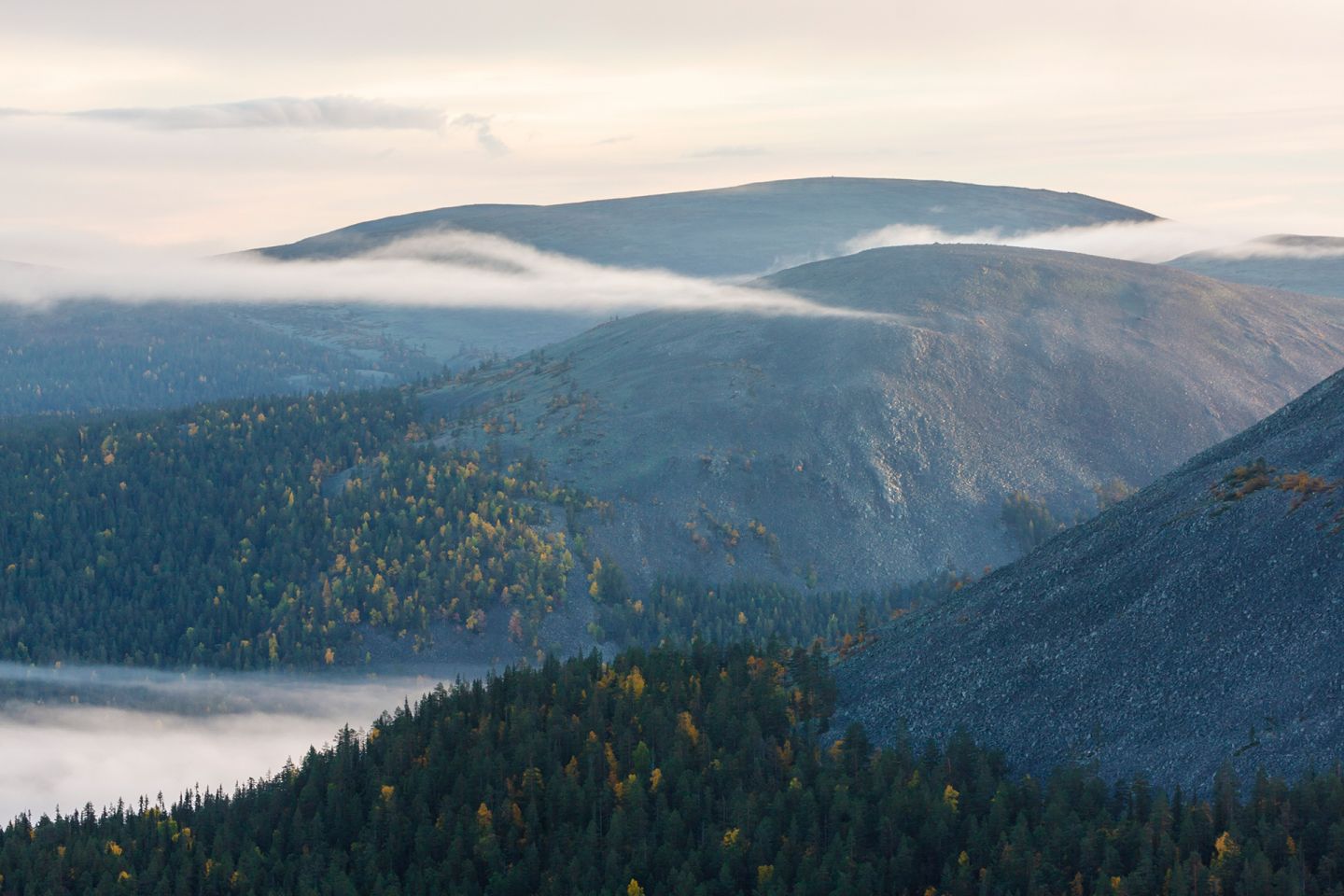 Misty fell in Lapland