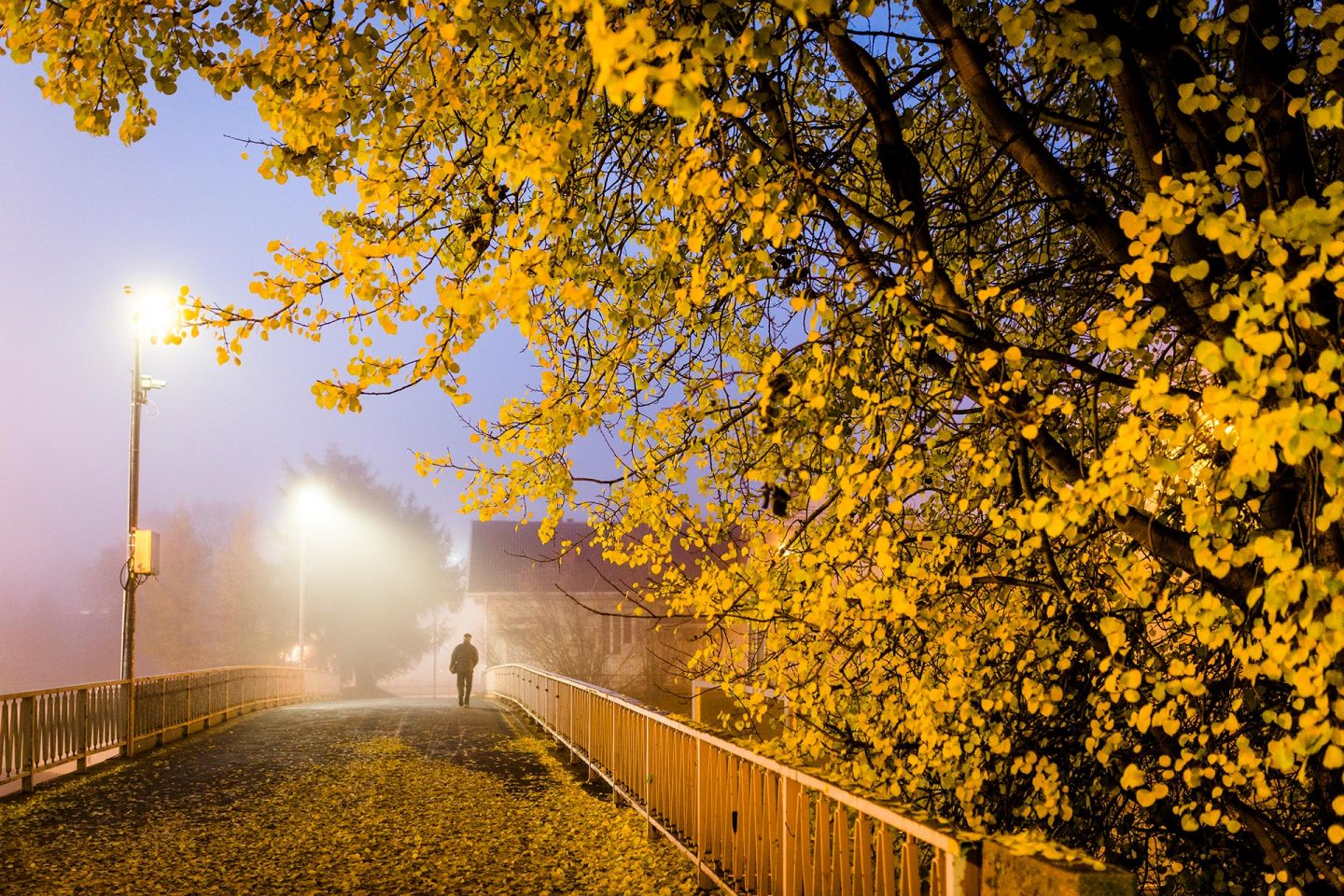 Rovaniemi, Lapland, Finland