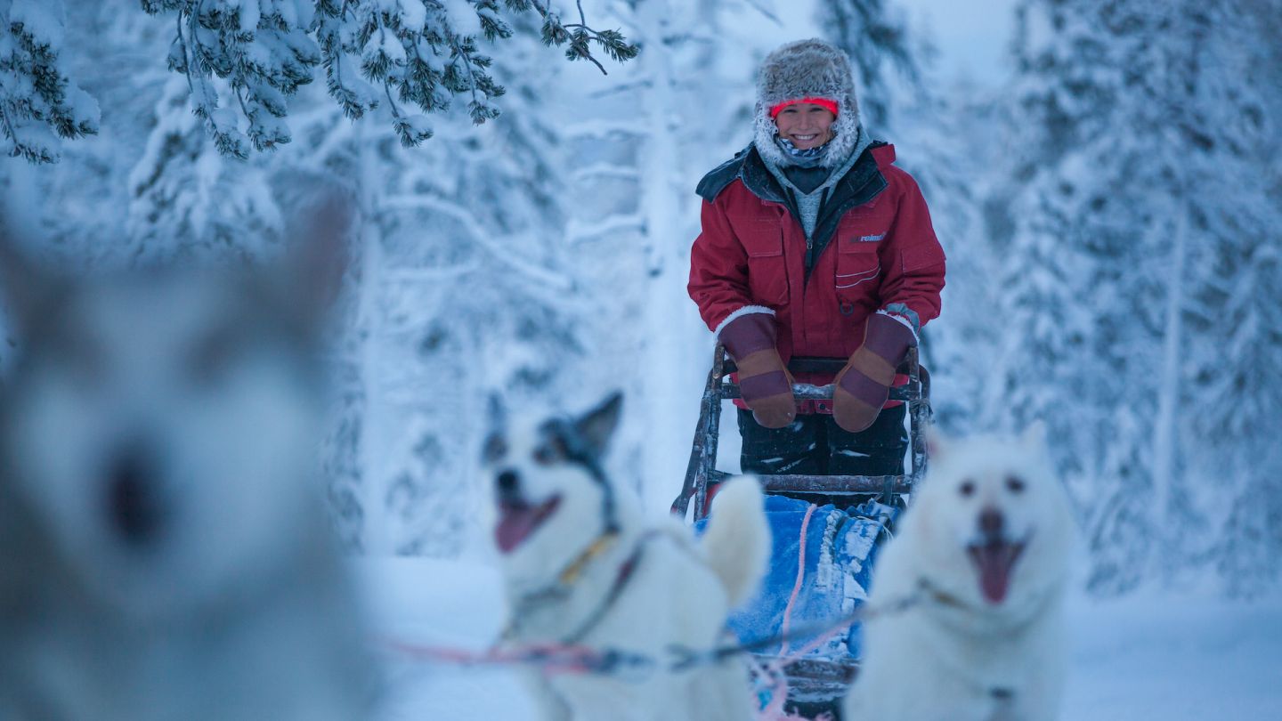 Nainen ohjaa huskyrekeä