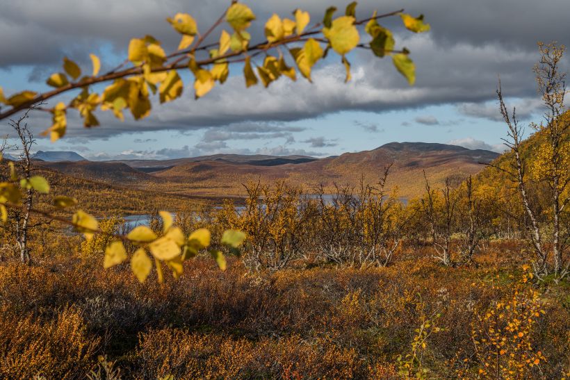 Autumn colors in Enontekiö, Lapland, Finland