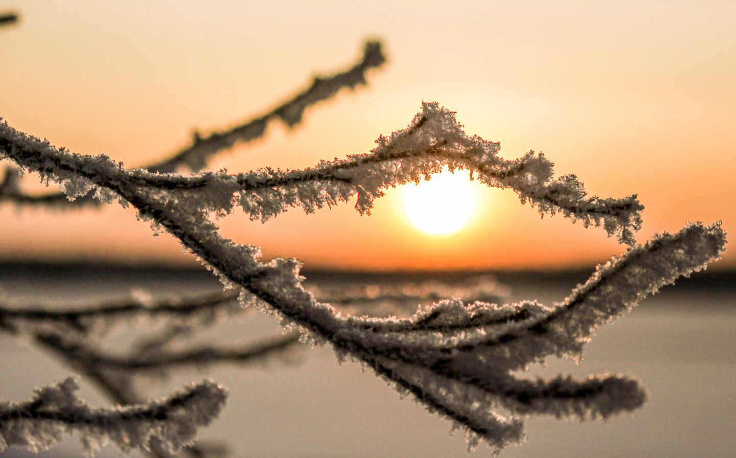 A frosty day in Ruka, Kuusamo