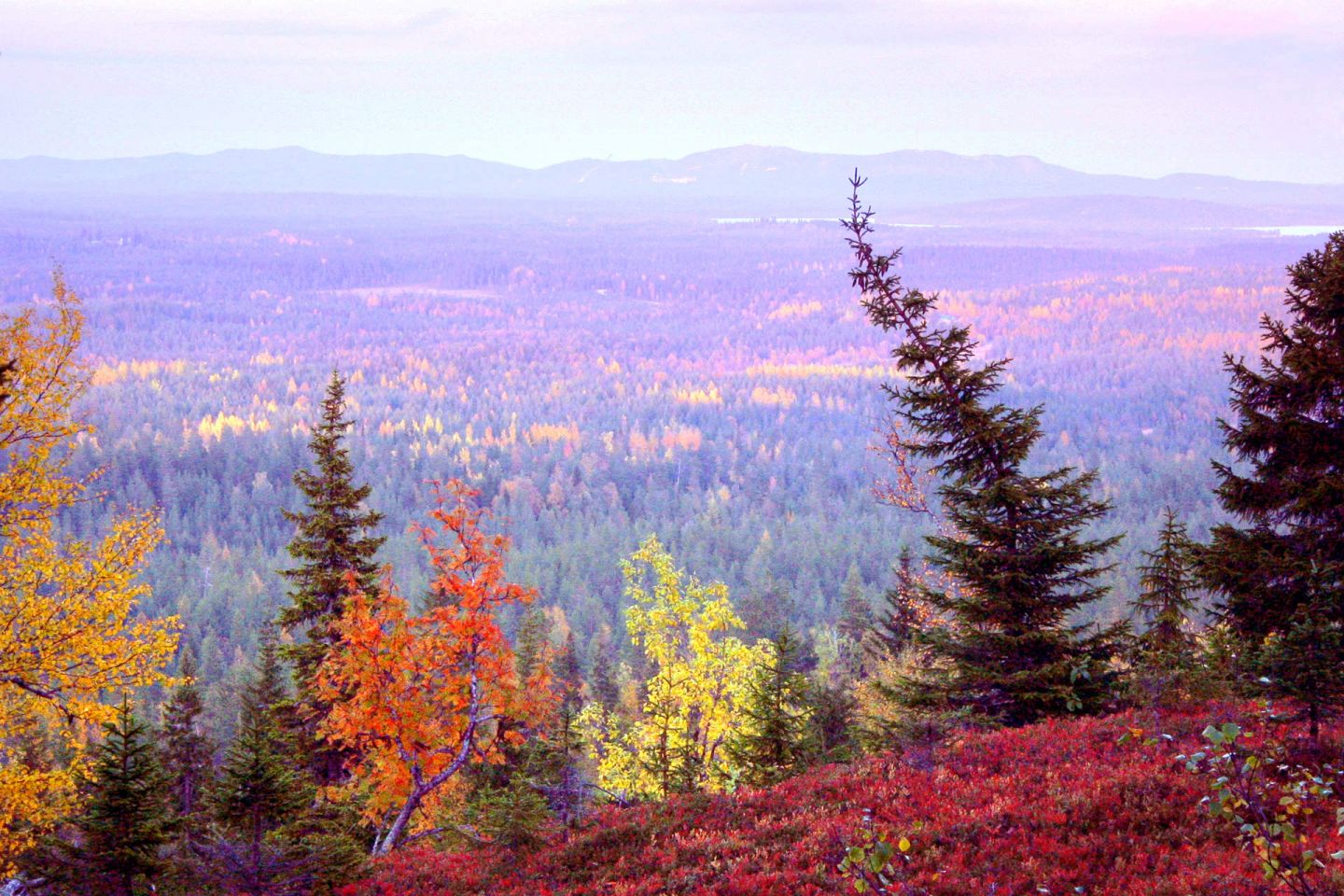 The view outside the village of Ruka-Kuusamo, Finland