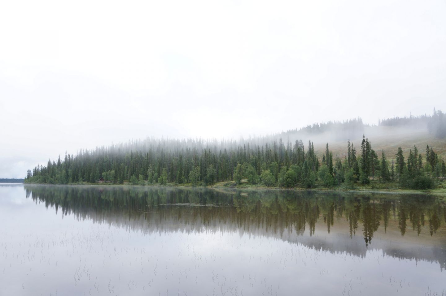 A misty morning in Posio, Finland