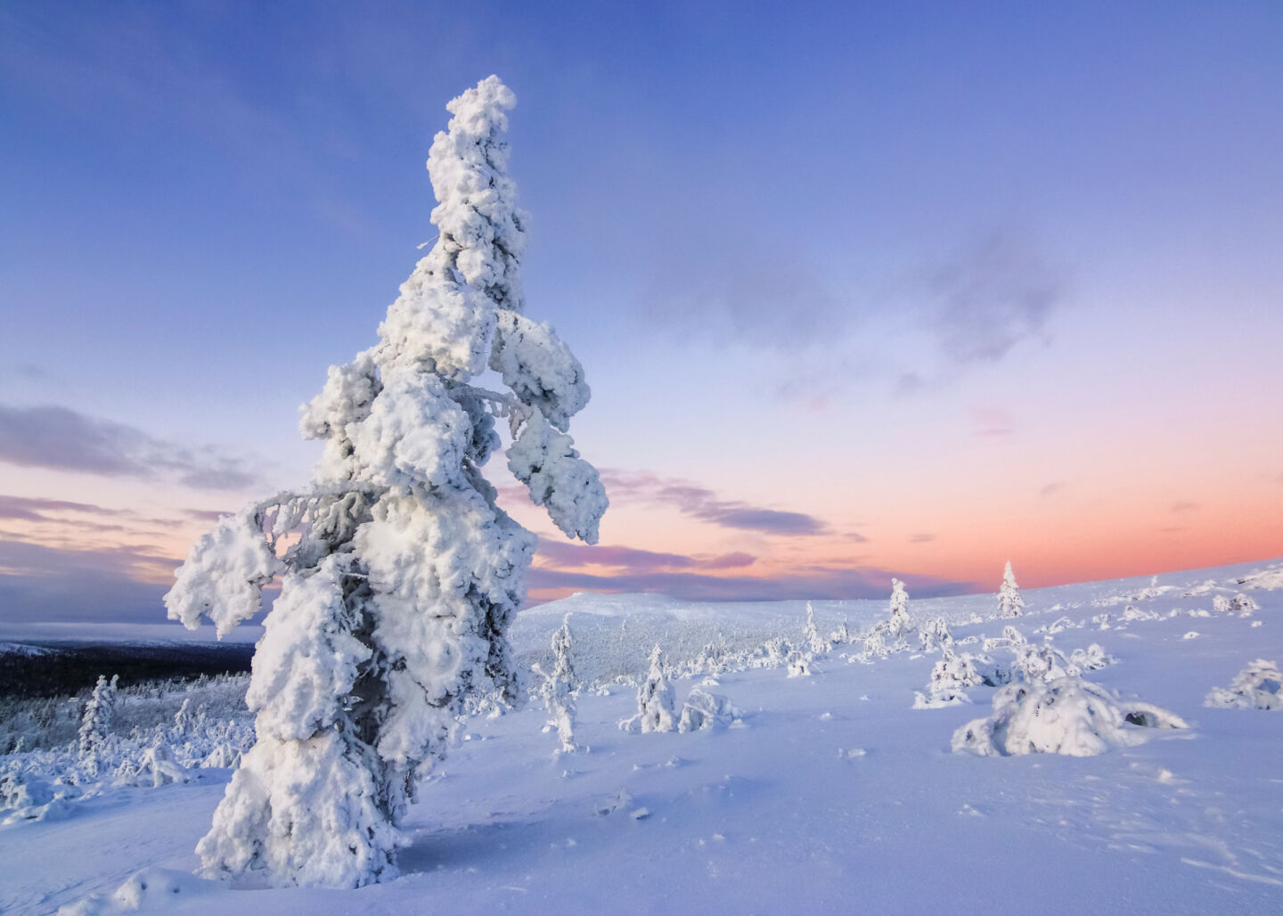 Polar night and frozen wilderness in Sompio & Sodankylä, Finland