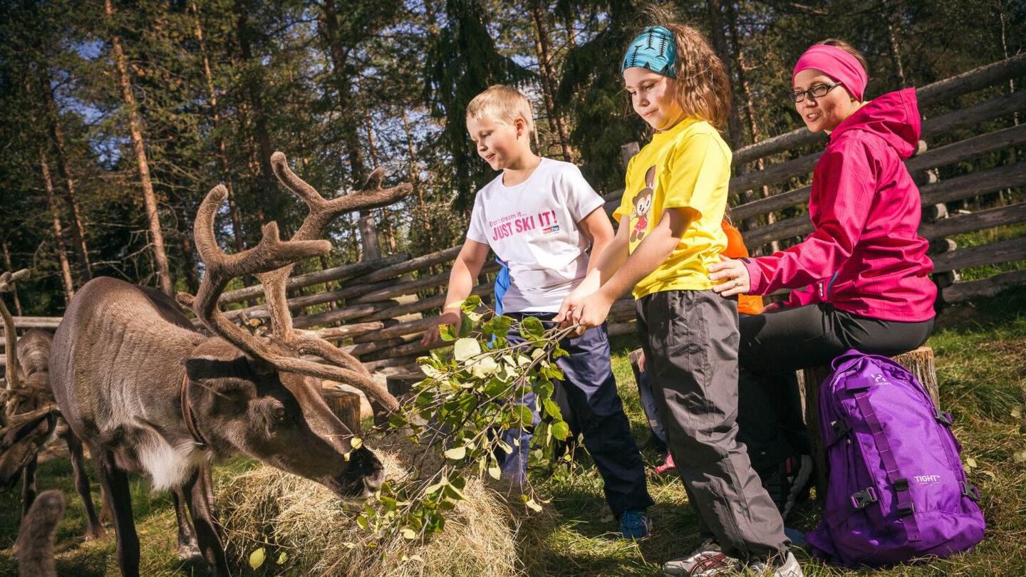 Arctic adventure - Kids and reindeer in Pyhä-Luosto, Finland