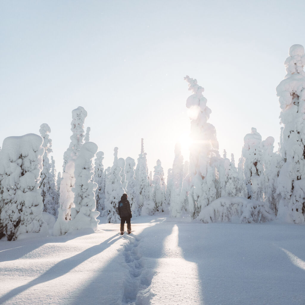 Ihminen kävelemässä tykkylumisessa metsässä