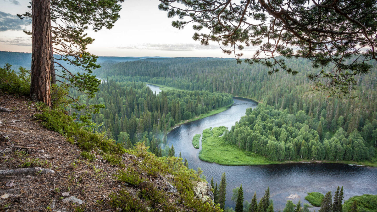 Overlook in Oulanka National Park in Ruka-Kuusamo, Finland