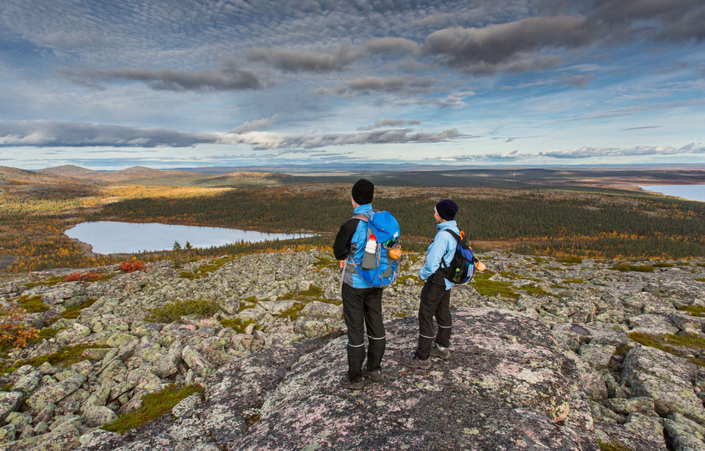 The view from Nattanen Fells in Sompio & Sodankylä, Finland