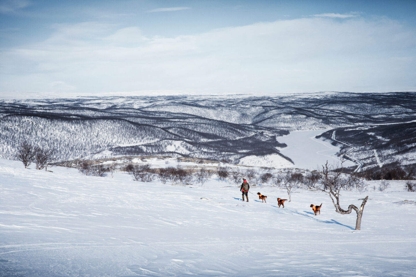 Enjoying the winter with dogs in Utsjoki, Finland