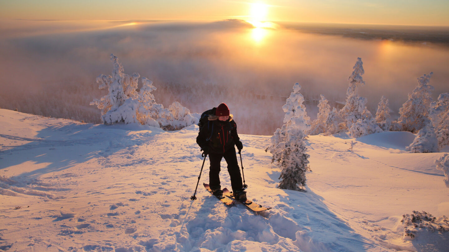 Forest skiing in Ruka-Kuusamo, Finland