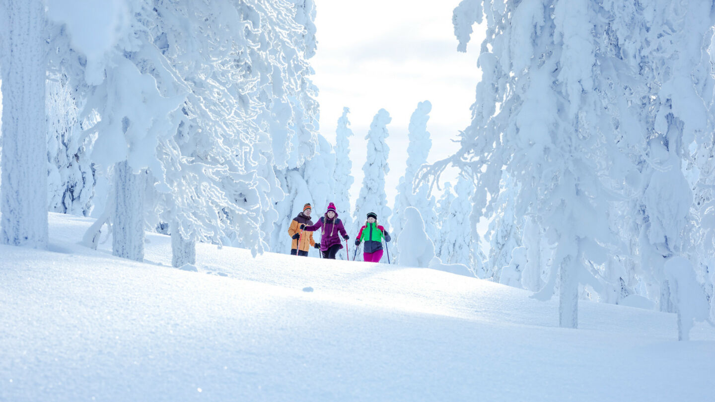 Enjoying the winter in Sompio & Sodankylä, Finland