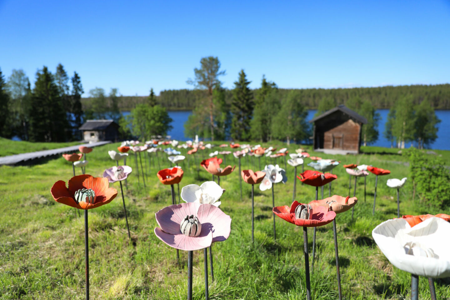 Ceramic flower garden in summer in Posio, Finland