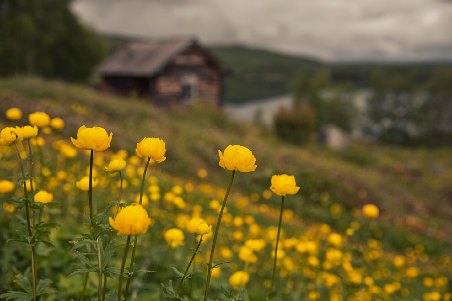 Utsjoki church huts in Finnish Lapland