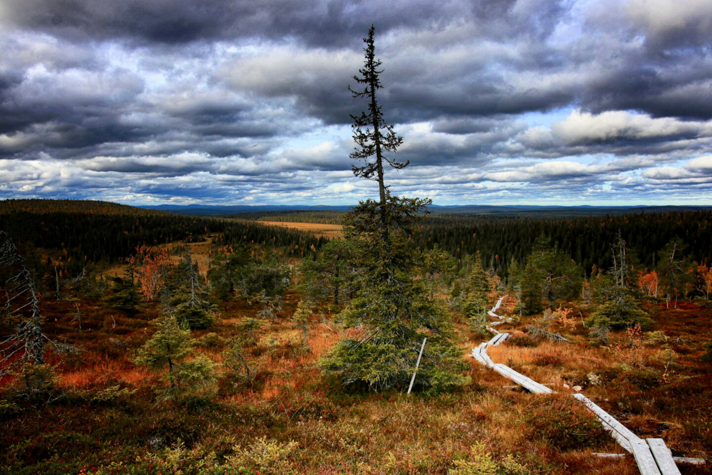 Hiking in autumn in Posio, Finland