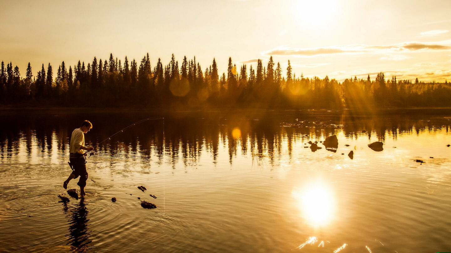 Midnight sun in summer in Salla, Finland