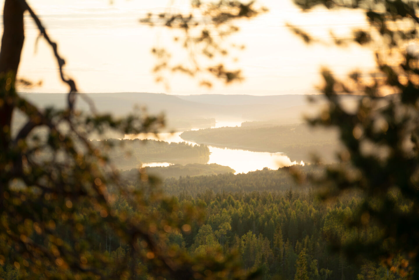 Hiking in summer in Rovaniemi, Finland