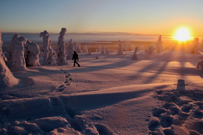 Riisitunturi National Park in winter in Posio, Finland