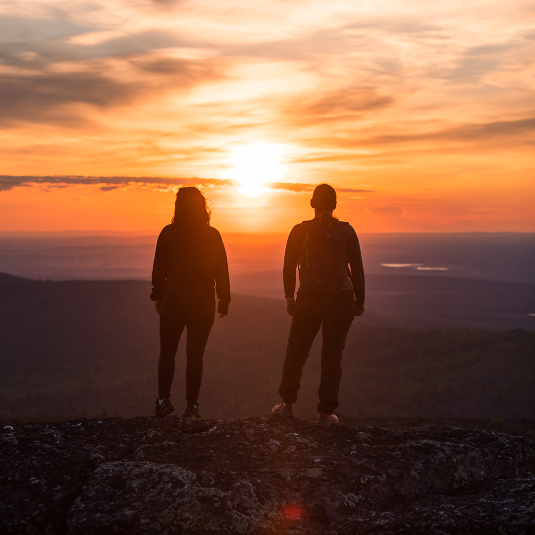 House of Laplandin toiminnan tulokset 2021 House of Lapland