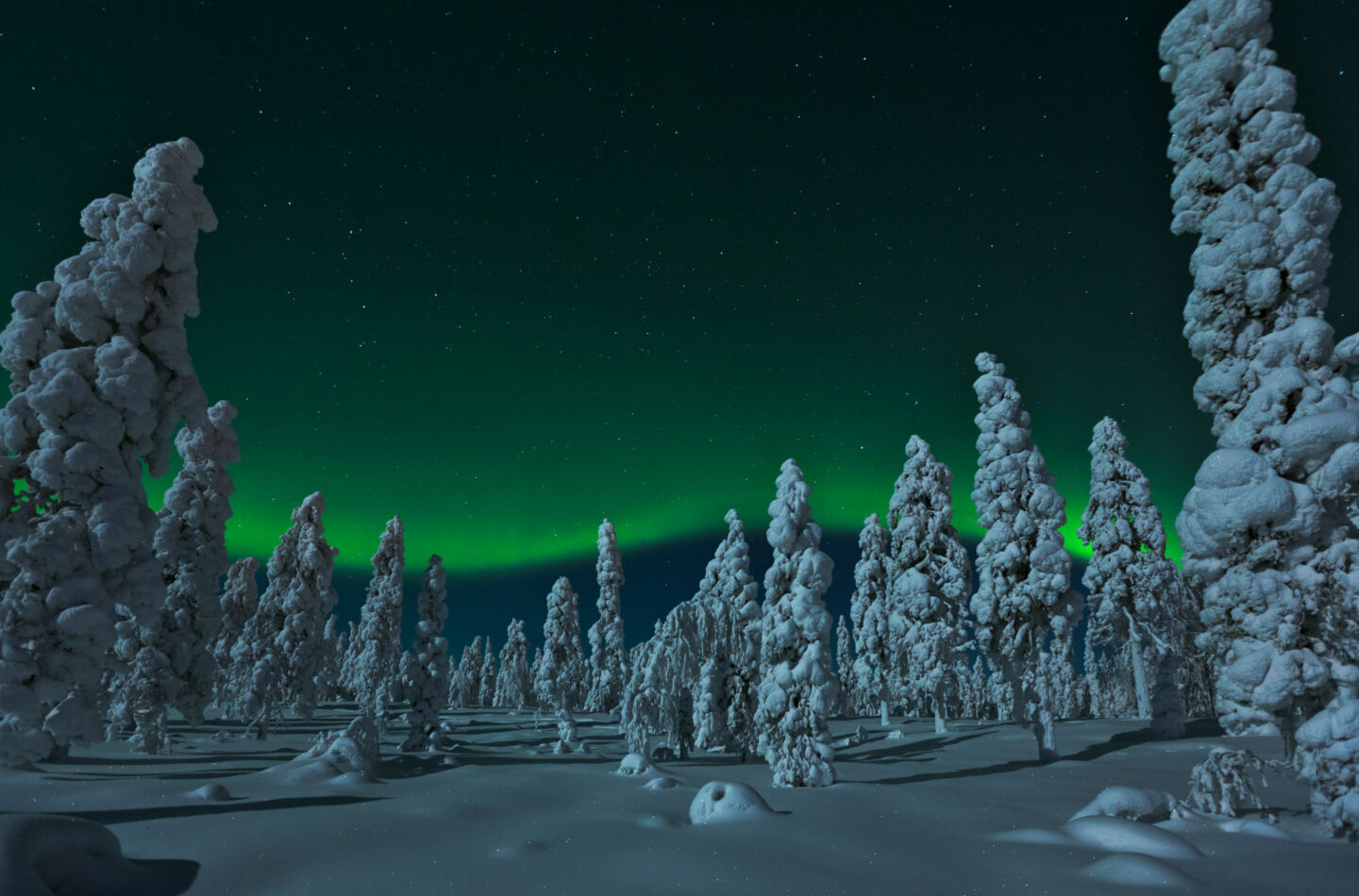 Northern Lights in winter in Rovaniemi, Finland