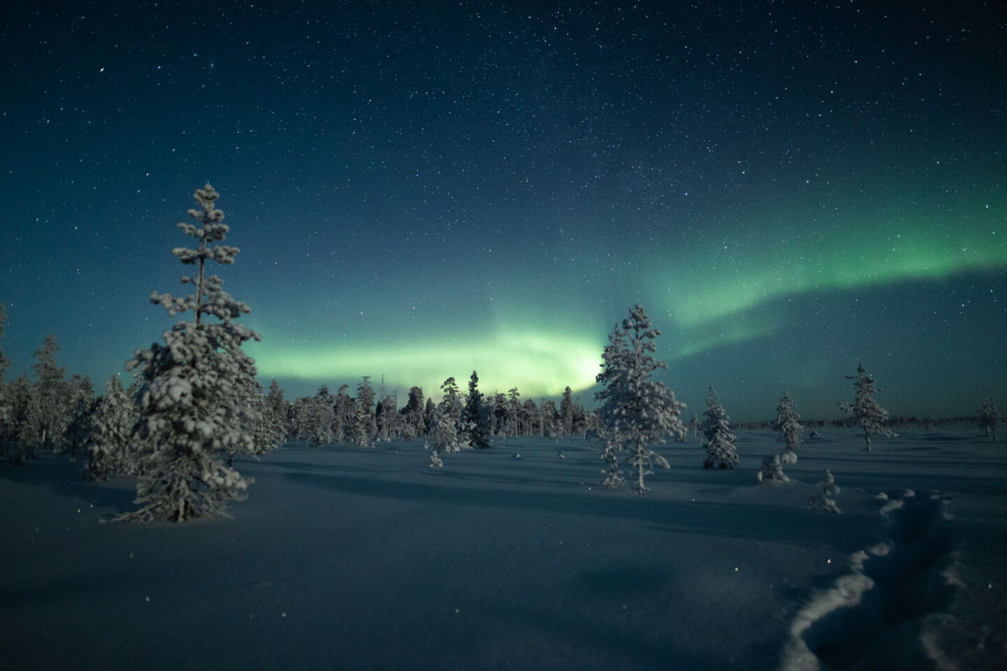 Northern Lights over the winter wilderness in Ranua, Finland