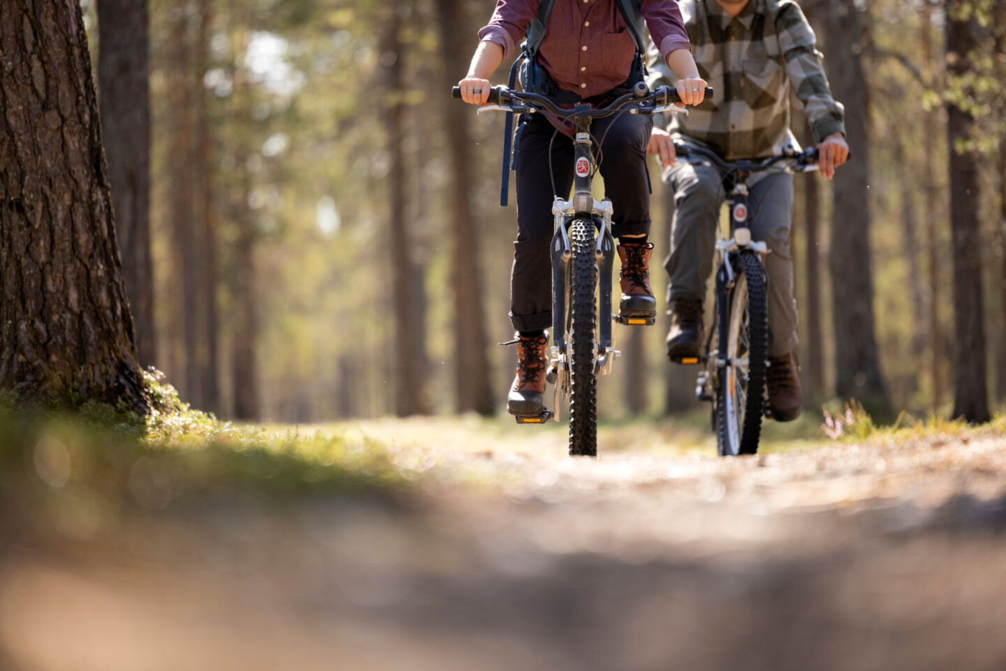 Biking in summer in Savukoski, Finland