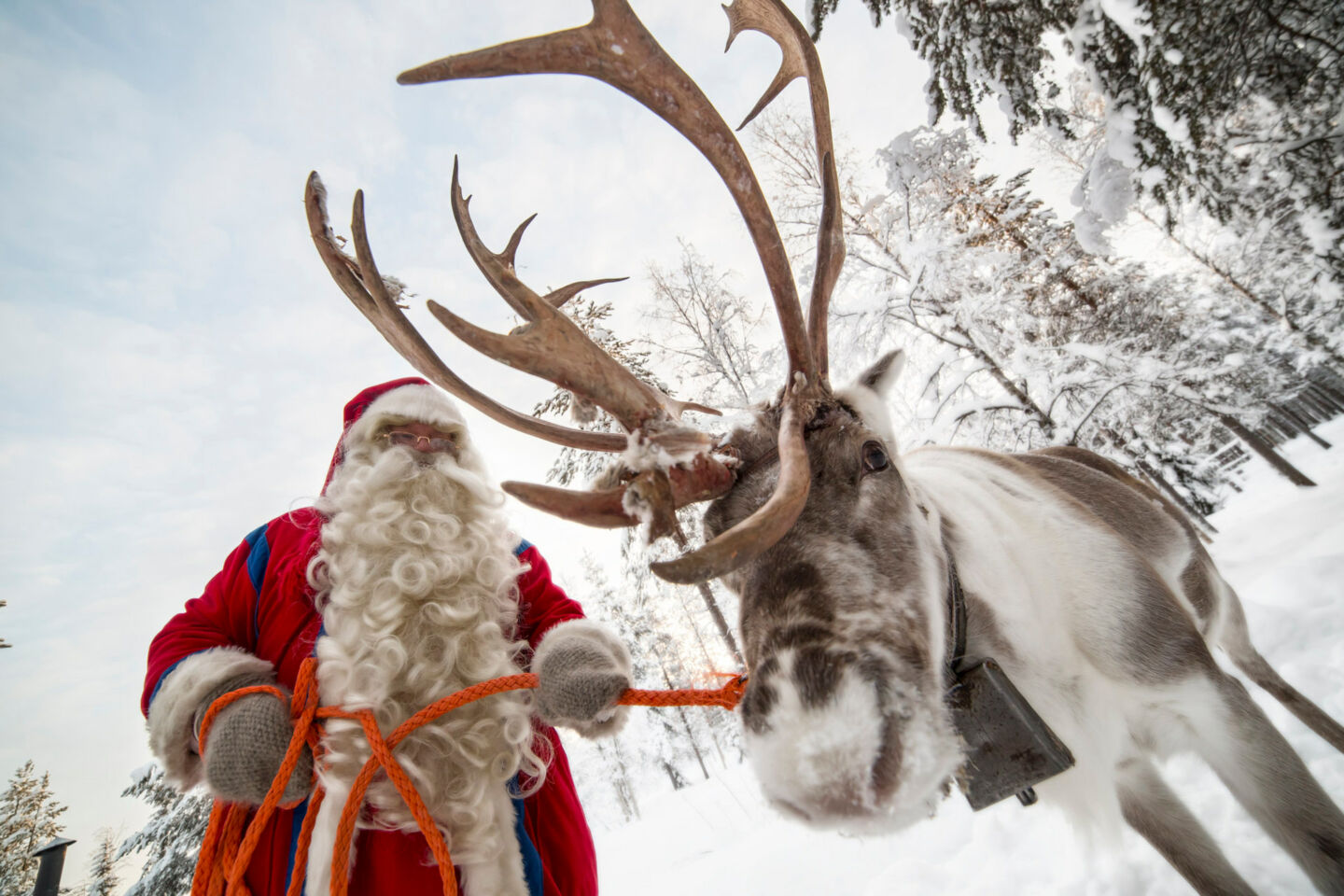 Santa Claus and his reindeer in Savukoski, Finland