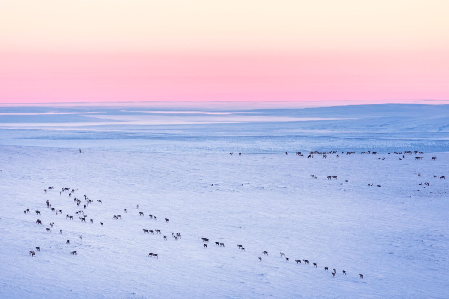 Polar night over Enontekiö, a film location used in A Boy Called Christmas