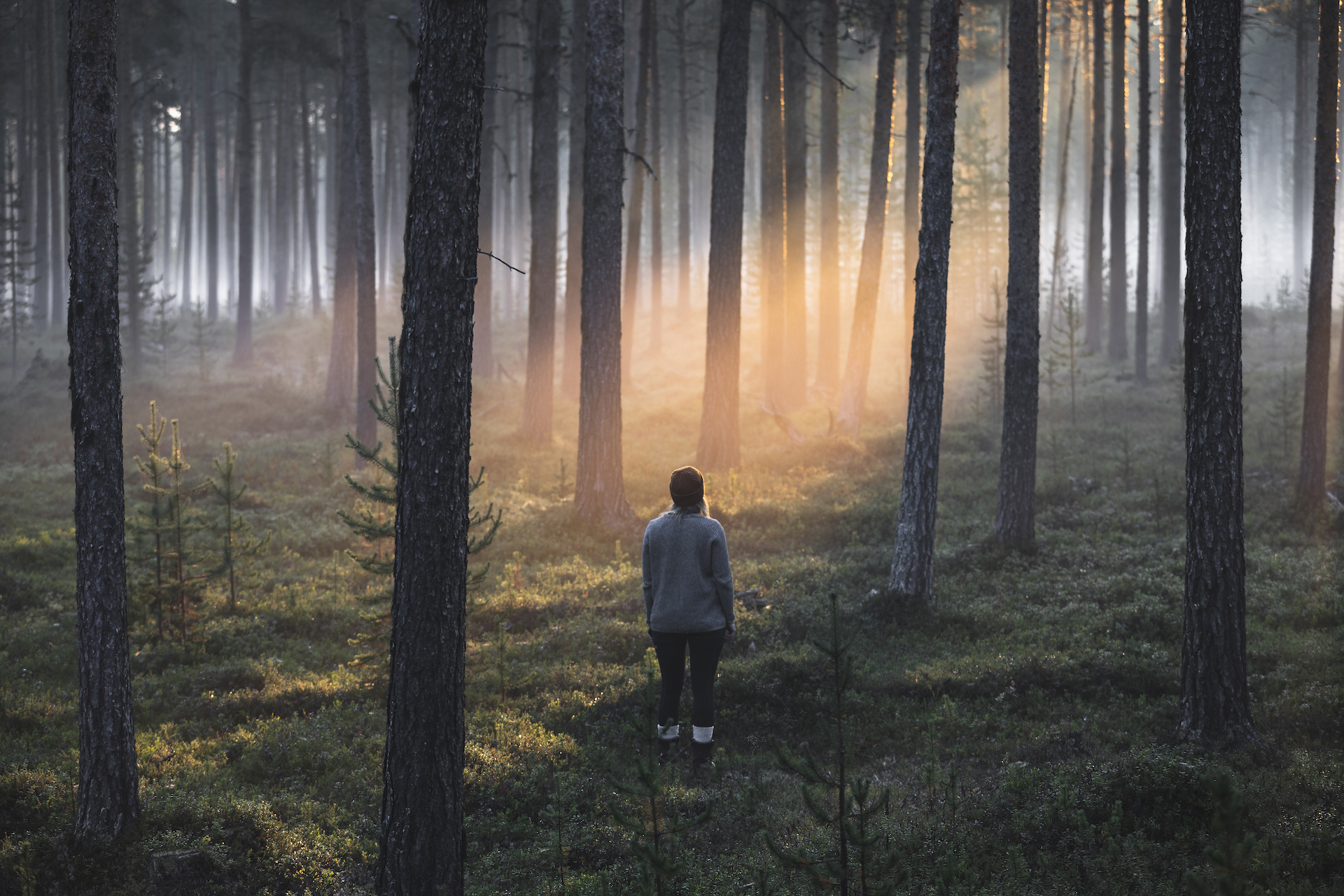 Ihminen seisoo usvaisessa metsässä