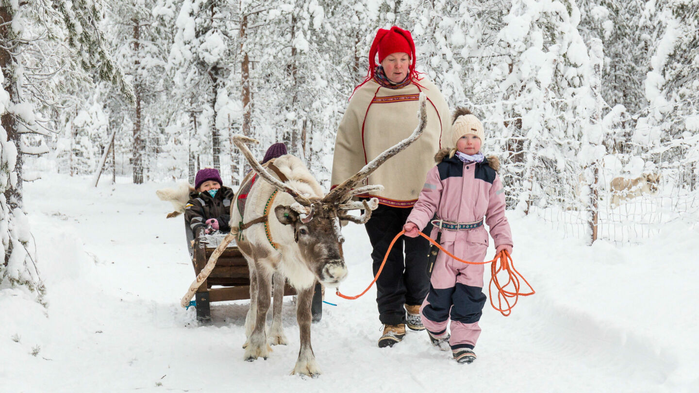 A winter walk with a reinder in Ranua, Finland