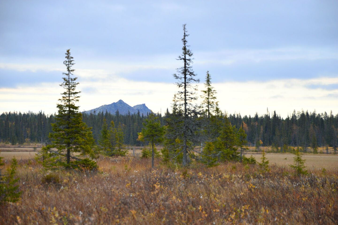 Mt. Korvatunturi in summer in Savukoski, Finland