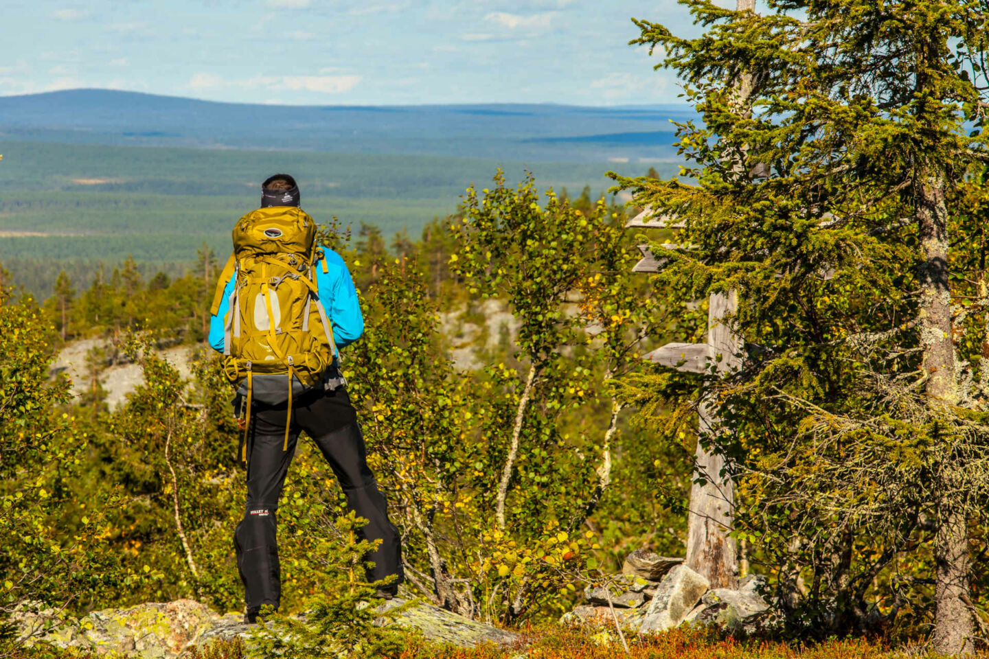 Hiking in summer in Savukoski, Finland