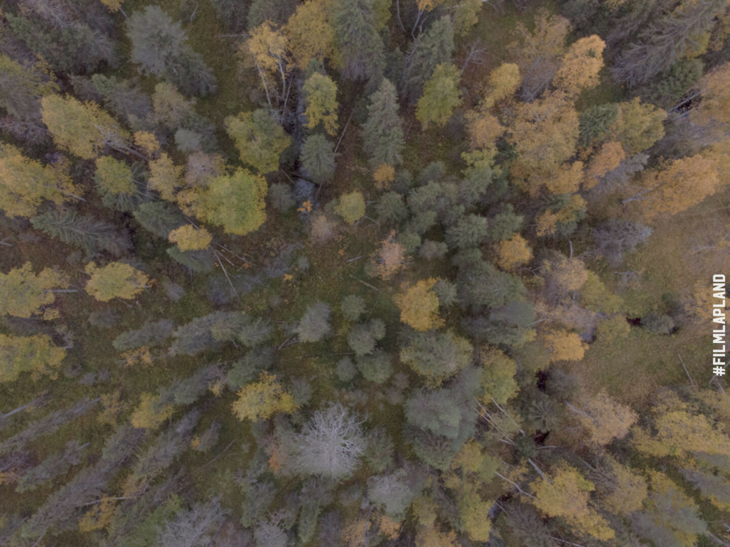 Aerial of autumn colors in Posio, Finland