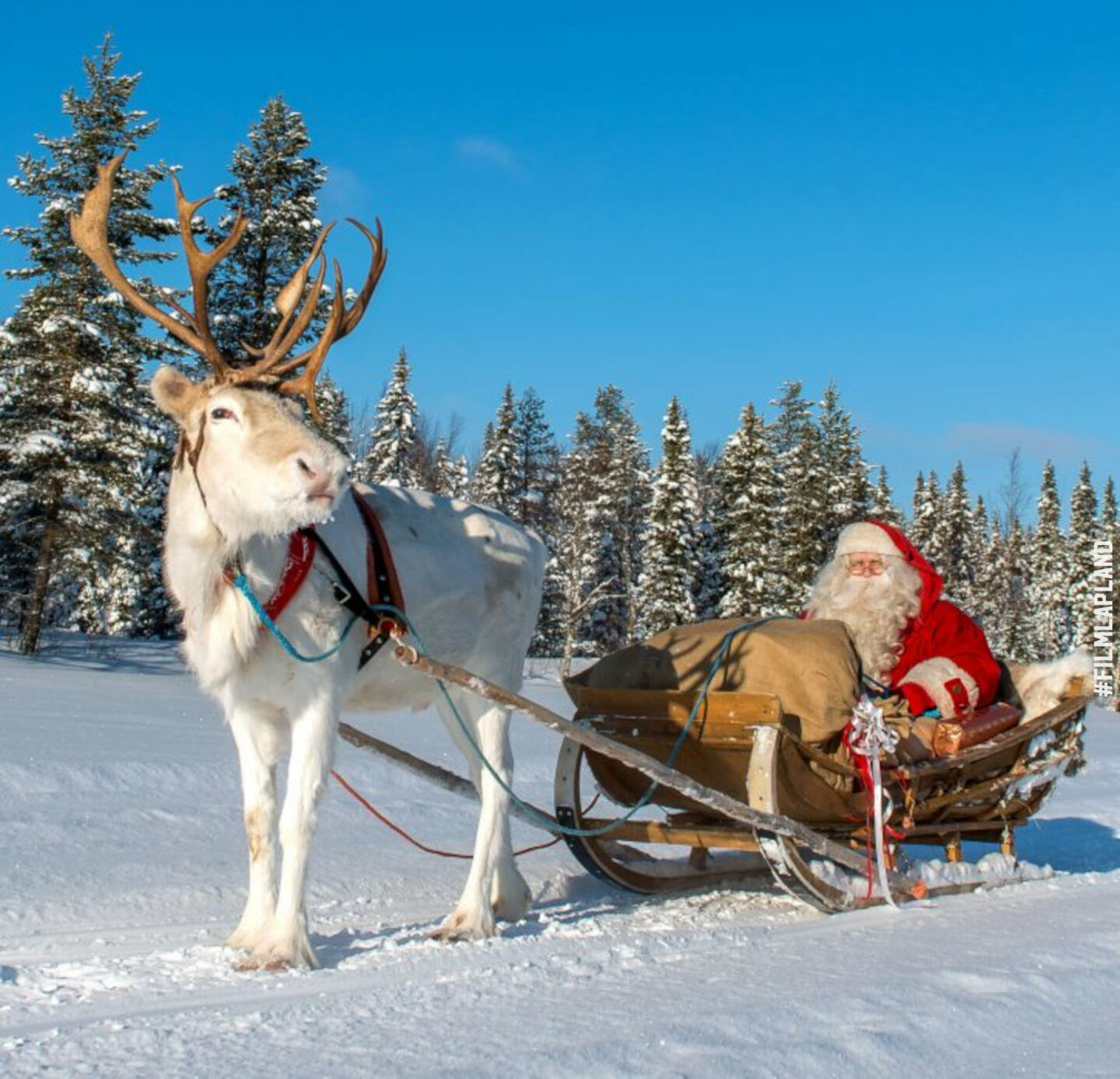 Santa enjoys a reindeer ride in Pello, Finland